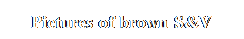 Text Box: Pictures of brown S&V
