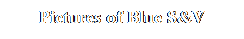 Text Box: Pictures of Blue S&V
